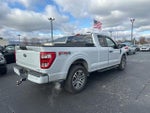 2021 F-150 Thumbnail 4