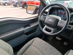 2022 F-150 Thumbnail 14