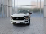 2023 F-150 Thumbnail 4