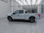 2023 F-150 Thumbnail 6