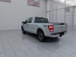 2023 F-150 Thumbnail 7