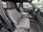 2023 F-150 Thumbnail 19
