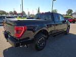 2023 F-150 Thumbnail 5