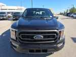 2023 F-150 Thumbnail 8