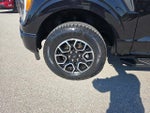 2023 F-150 Thumbnail 9