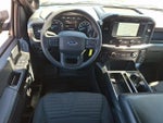 2023 F-150 Thumbnail 11