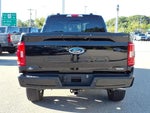 2023 F-150 Thumbnail 4