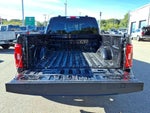 2023 F-150 Thumbnail 13