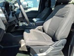2023 F-150 Thumbnail 19