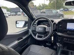 2023 F-150 Thumbnail 10