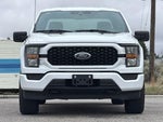 2023 F-150 Thumbnail 10