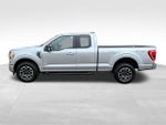 2023 F-150 Thumbnail 11