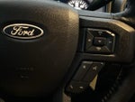 2015 F-150 Thumbnail 8
