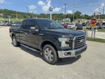 2015 F-150 Thumbnail 4