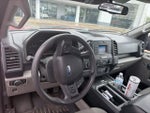 2016 F-150 Thumbnail 4