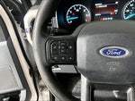 2021 F-150 Thumbnail 14
