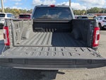 2021 F-150 Thumbnail 10