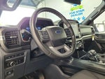 2023 F-150 Thumbnail 10