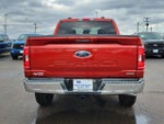2023 F-150 Thumbnail 5
