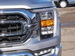 2023 F-150 Thumbnail 10