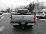 2023 F-150 Thumbnail 6