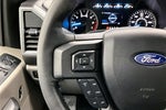 2020 F-150 Thumbnail 19