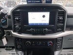 2021 F-150 Thumbnail 17