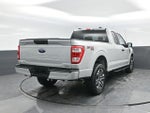 2023 F-150 Thumbnail 16