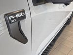 2023 F-150 Thumbnail 10
