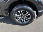 2023 F-150 Thumbnail 9