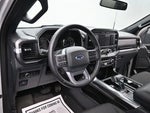 2023 F-150 Thumbnail 12