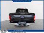 2015 F-150 Thumbnail 3