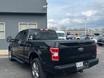 2018 F-150 Thumbnail 8