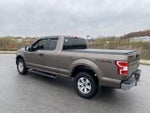 2019 F-150 Thumbnail 4