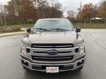 2019 F-150 Thumbnail 8
