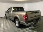 2019 F-150 Thumbnail 7