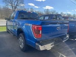 2021 F-150 Thumbnail 4