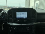 2021 F-150 Thumbnail 10