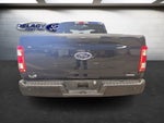 2023 F-150 Thumbnail 4