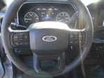 2023 F-150 Thumbnail 4
