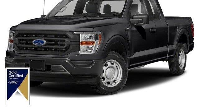 Preowned 2023 Ford F-150 XLT for Sale