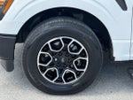 2024 F-150 Thumbnail 12