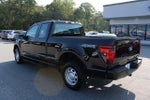 2024 F-150 Thumbnail 8