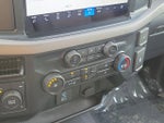 2024 F-150 Thumbnail 17