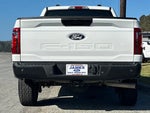2025 F-150 Thumbnail 4