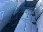 2025 F-150 Thumbnail 11