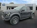 2017 F-150 Thumbnail 1