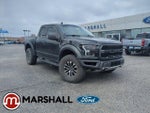 2019 F-150 Thumbnail 1