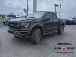 2019 F-150 Thumbnail 4