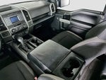 2018 F-150 Thumbnail 11